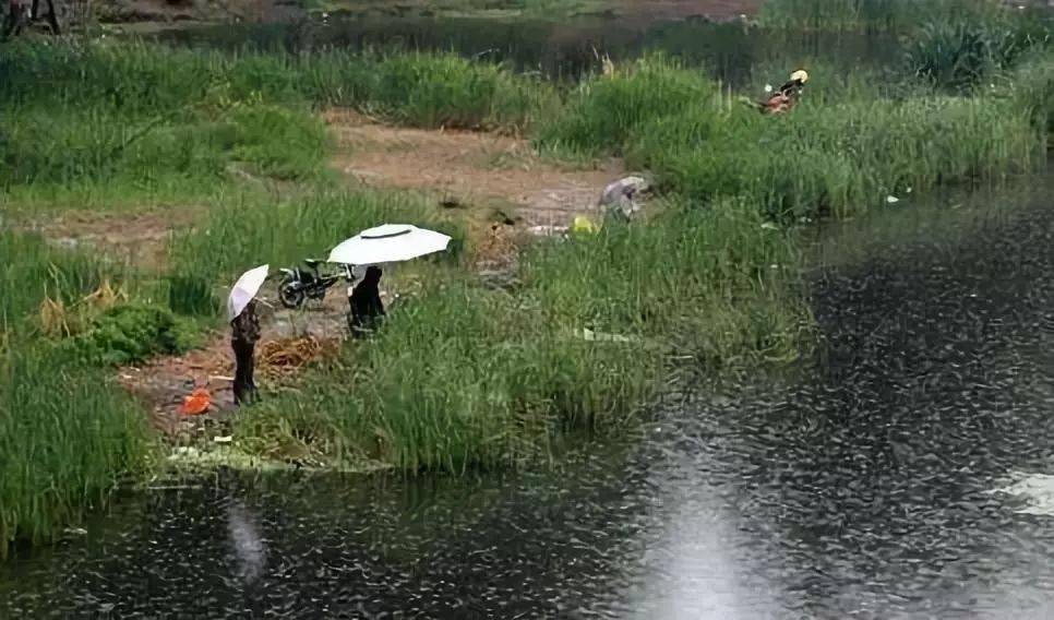 夏季哪些天气鱼口比较好，请假也要去钓鱼
