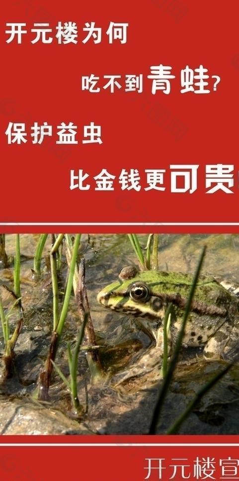 青蛙的特殊本领是什么？能手、歌唱家、运动健将、伪装高手