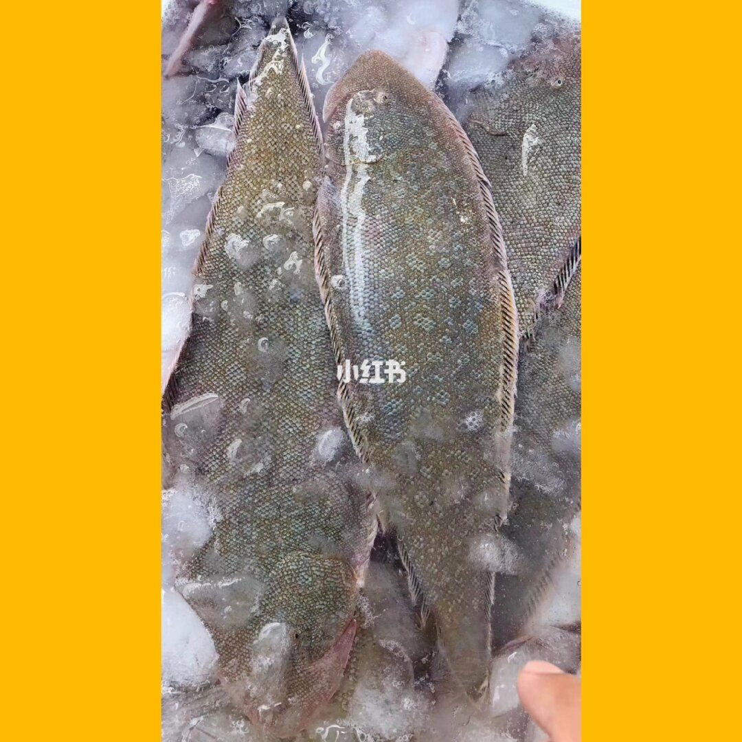 龙利鱼是什么鱼，吃味道真是棒极了！