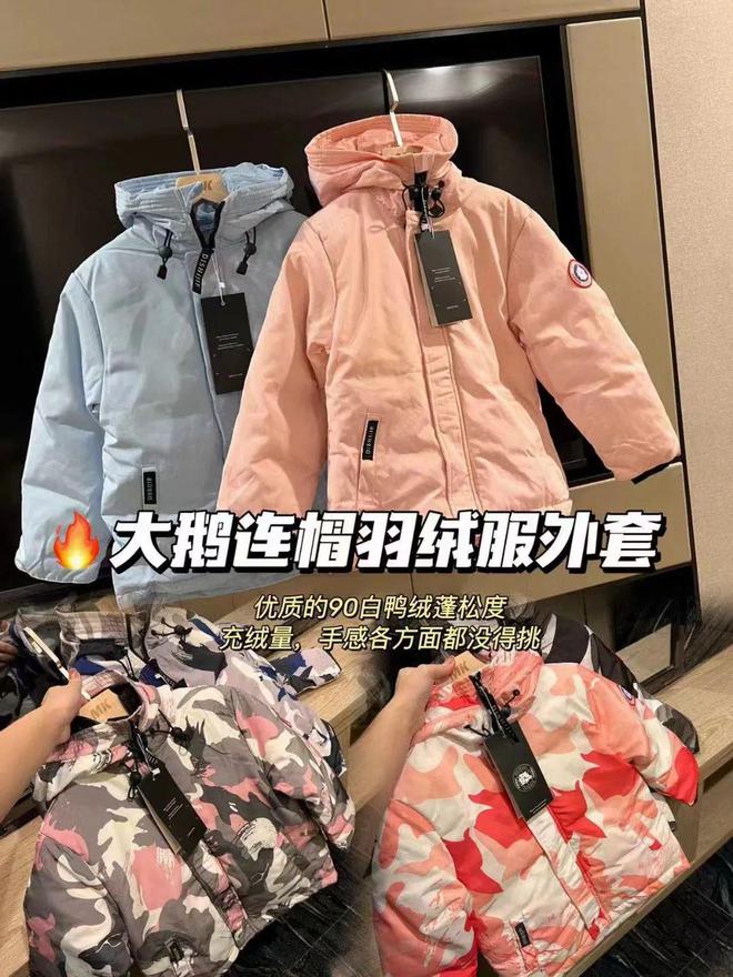 鹅的寿命 TheNorthFace被罚45万，大鹅竟然靠打折？
