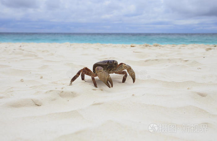红尾黑鲨 高消费低文化的三亚市区是个很无趣的地方