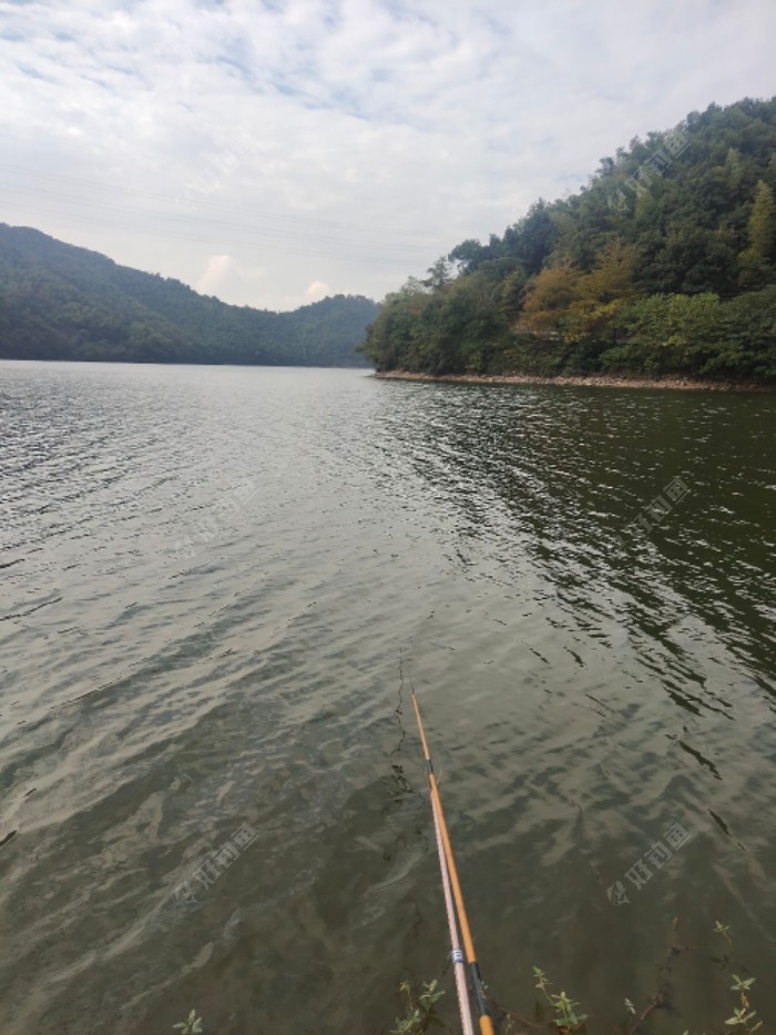 高手授道“飞豹”巧改海竿钓鲫