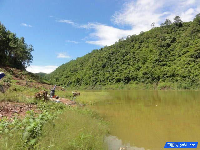 废弃鱼塘里钓上来的胡子鲶, 摘钩时不小心被咬了一口