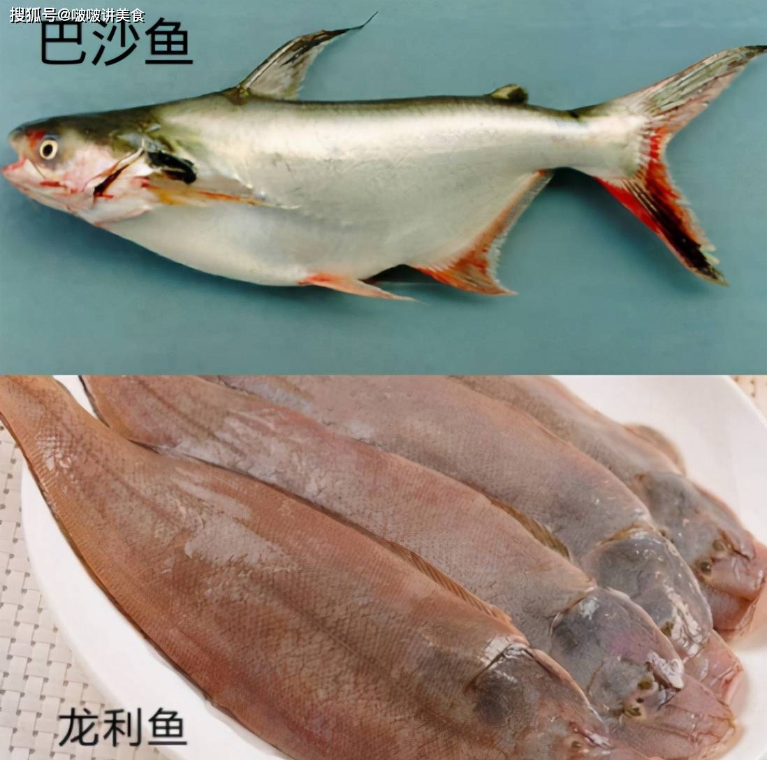 龙利鱼是什么鱼，吃鱼有刺吗？