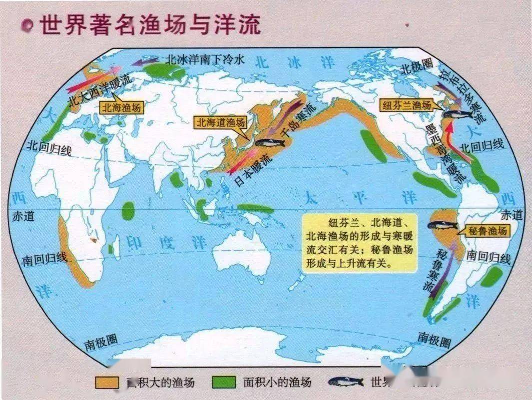 世界四大渔场形成原因总结
