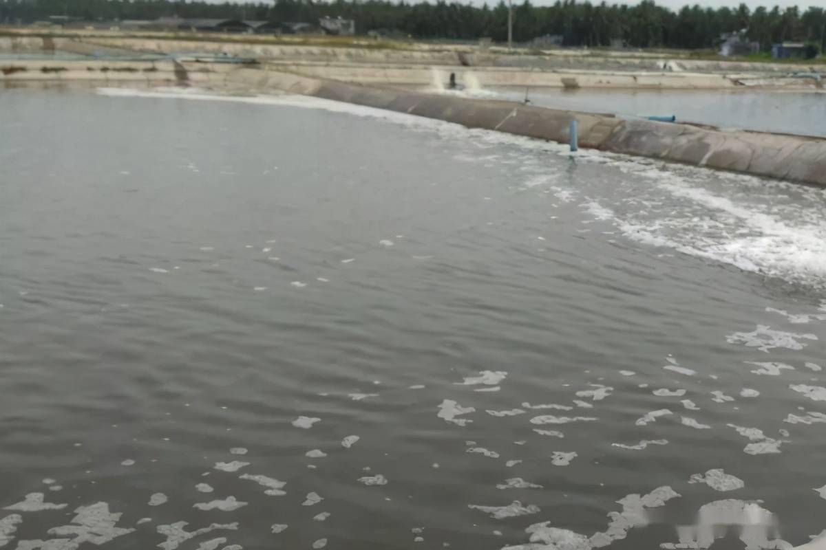 水产养殖中的过硫酸氢钾复合盐的应用效果有哪些