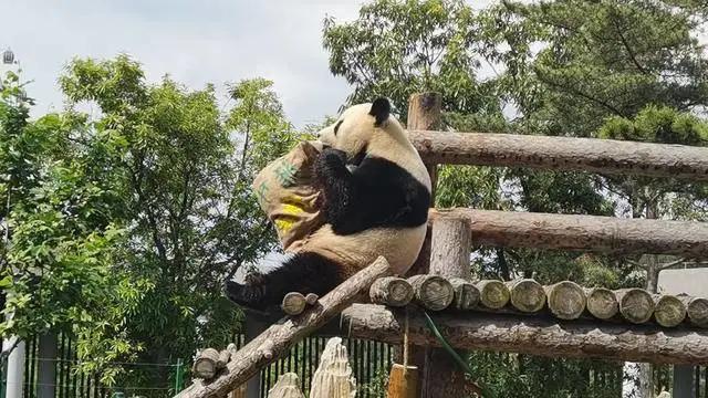 （推荐）作文是怎么写的？给孩子看看吧！