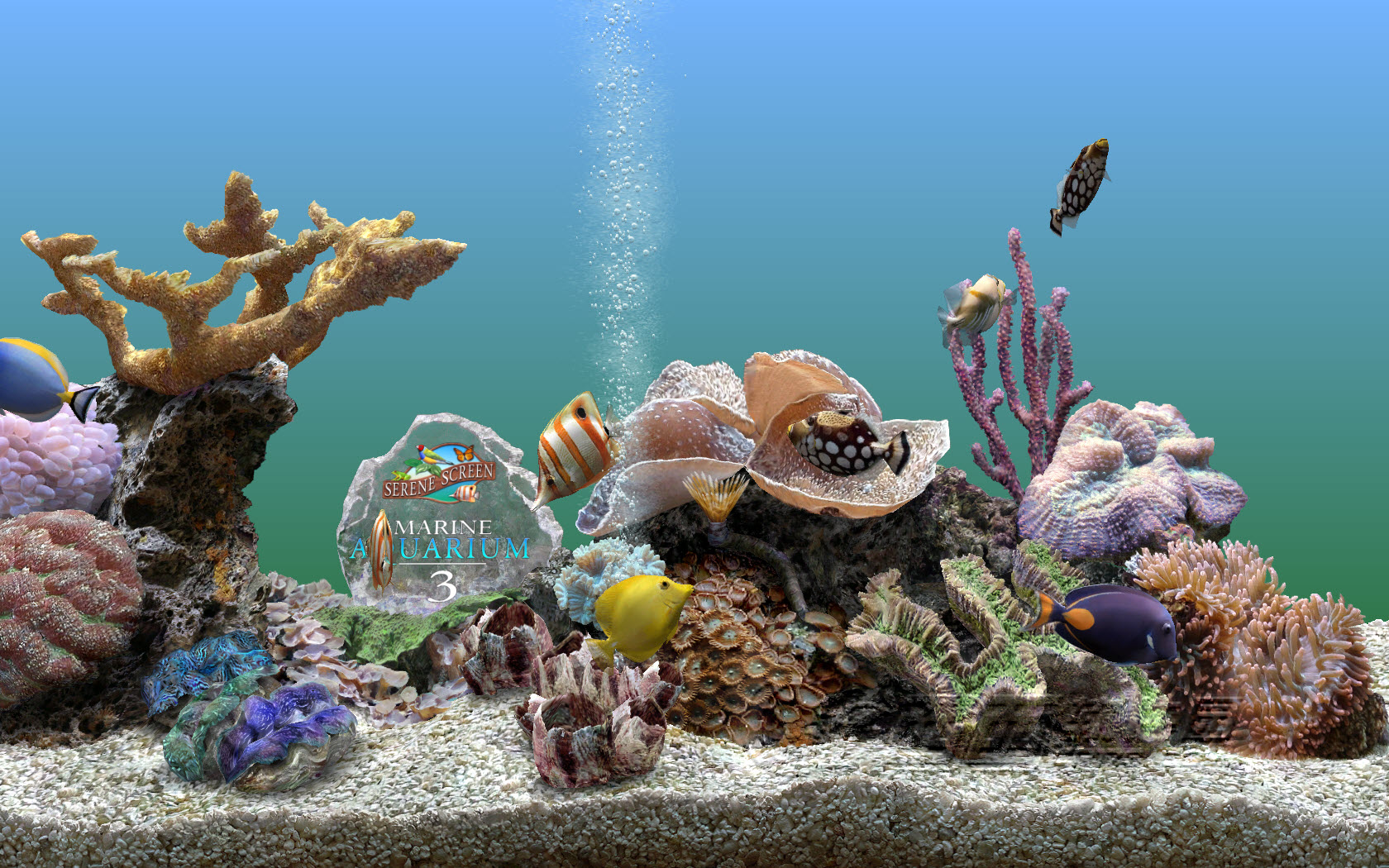 海生微软推荐的水族箱屏幕保护DreamAquarium3.1商业版