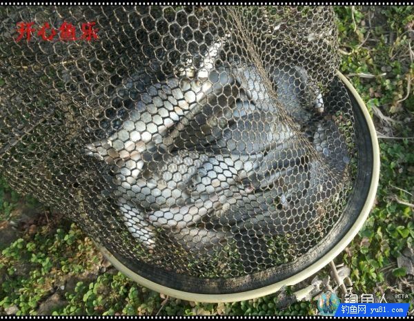 纳米浪彩浮漂的各项超强性能测评