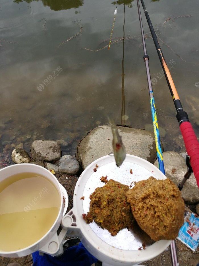 （钓鱼技巧）自制鲤鱼饵料配方，简单易行！