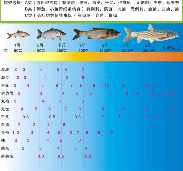 3号鱼钩钓多大的鱼主要取决于钩型？