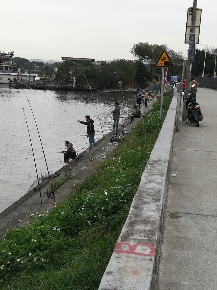 在广东的东江湖，哪里是最适合台钓的？