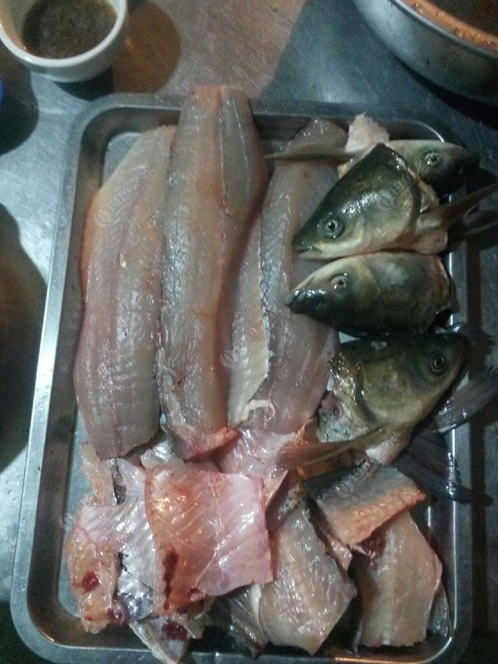 夜鳞鲷鱼 钓鱼和做饭如何从1到375？ ？ ？