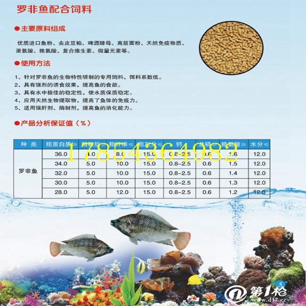 埃及塘角鱼的生活及注意事项有哪些？埃及胡子鲶