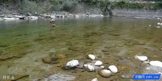 溪流钓选择钓位的8选与8不选