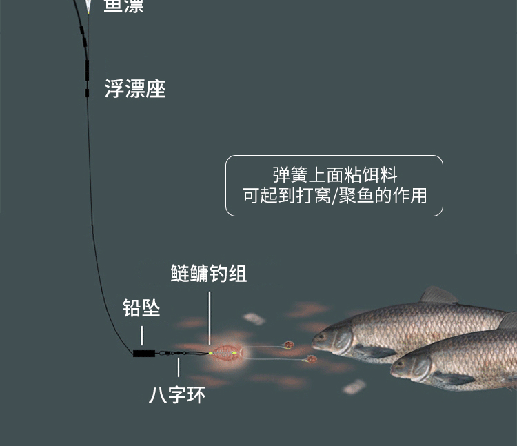 钓大鱼、抗干扰的台钓双铅和多铅钓法