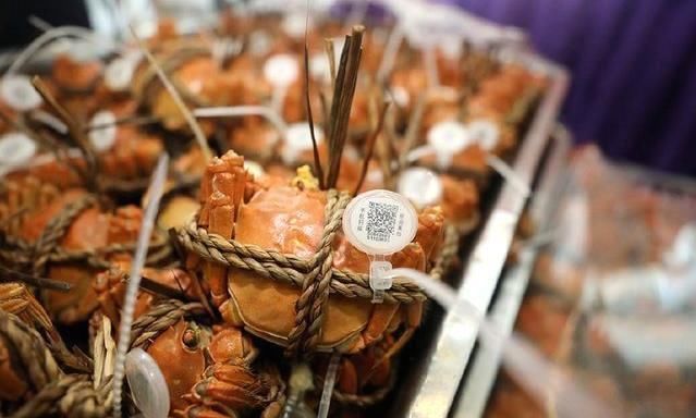 螃蟹脱壳 放苗前一定要解毒，怎样选择合适的消毒产品？