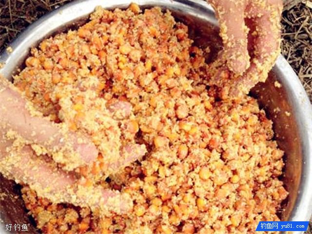 野钓中有鱼却不上钩的应对情况