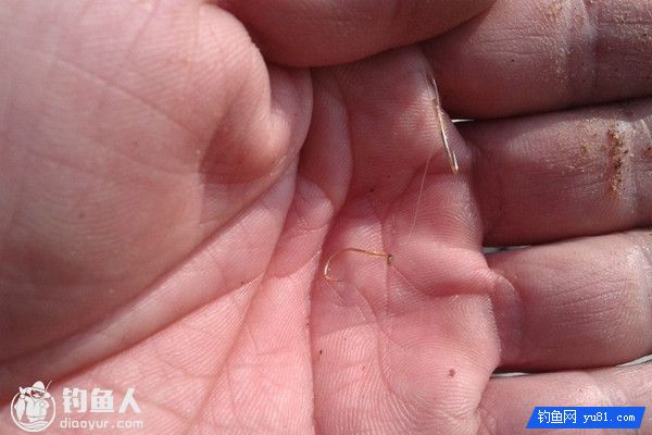 野钓子线秒切的六个因素