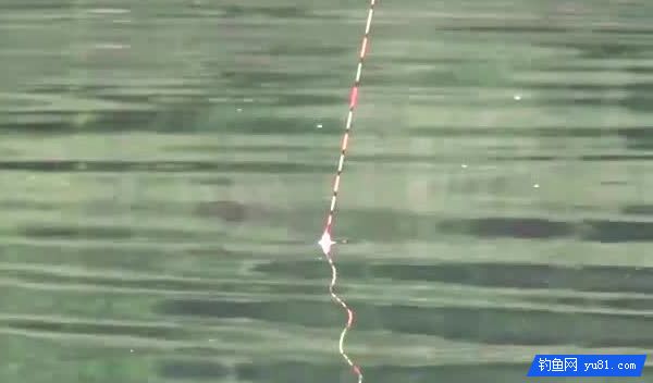 野钓浮漂走水的原因及解决技巧