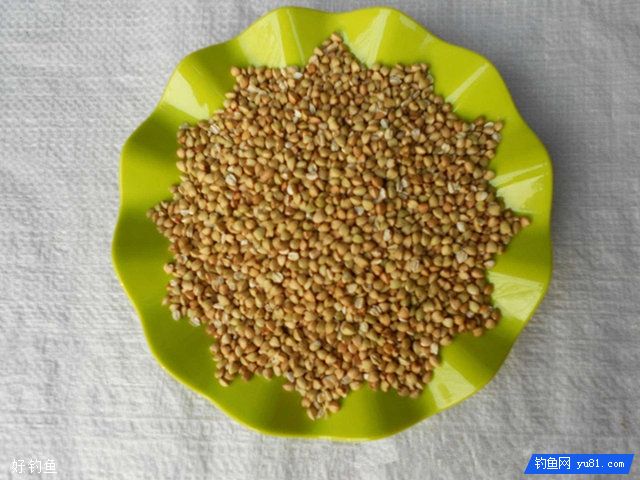 防止小鱼闹窝的发酵饵制作流程
