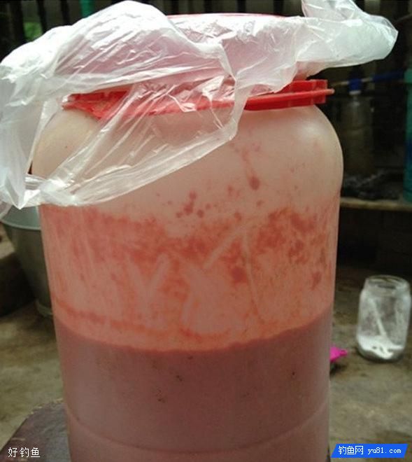 春季钓鲫鱼有绝招，分享窝料配方