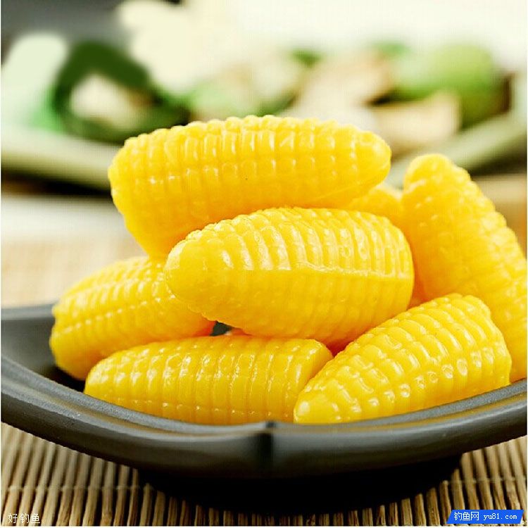 可以做饵料的奇葩食材，不妨一试