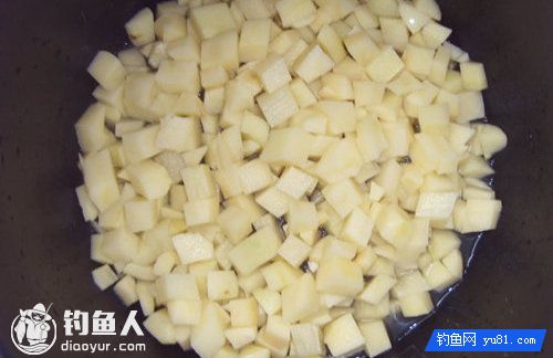 钓鱼人身边的三款自制饵料