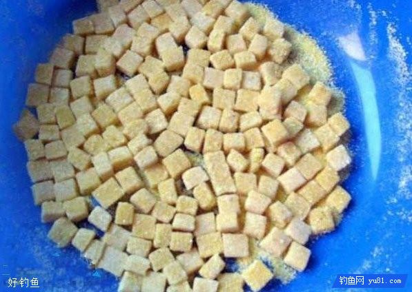 自制鲤鱼鲫鱼草鱼都爱吃的玉米饵料