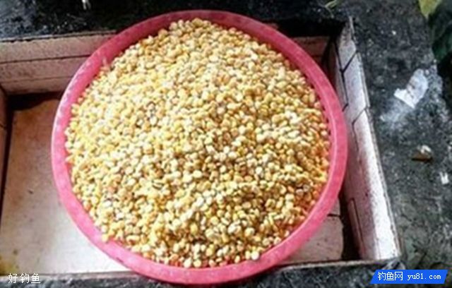 钓鲤鱼草鱼的臭玉米制作方法