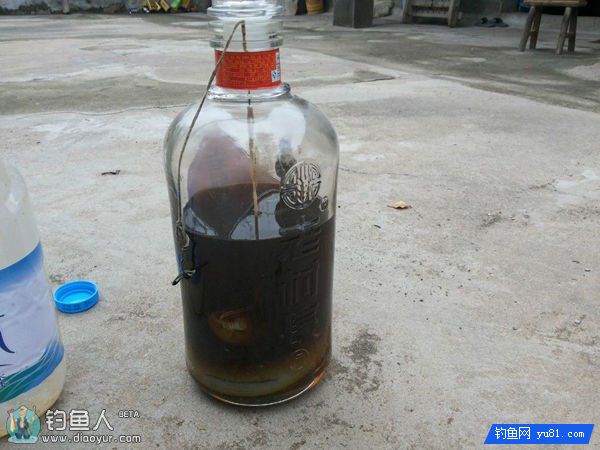 野钓酒米的几种泡制方法