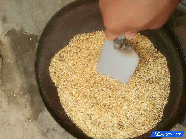 诱鱼效果强烈的酒米掺茴香诱饵