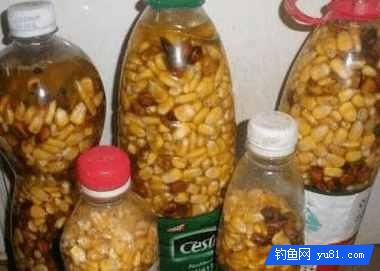中学生自制的钓鱼饵料配方，鲫鱼草鱼都适用
