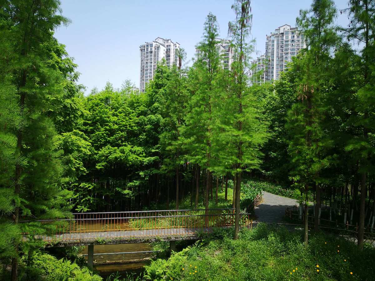沈阳国家森林公园旅游风景区推荐巴尔虎山