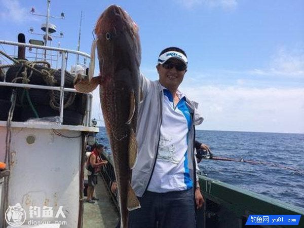 海上船钓鳕鱼的钓技钓法与垂钓要点