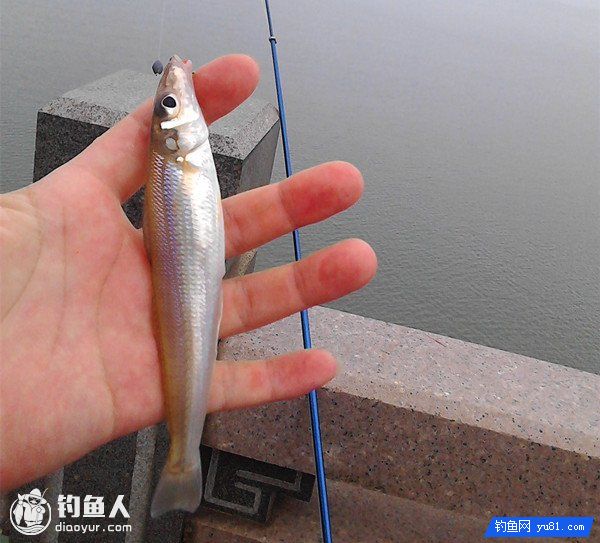 海钓沙钻的钓点和钓法的选择与配置