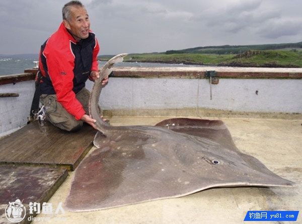 海钓鳐鱼的三大技巧解析