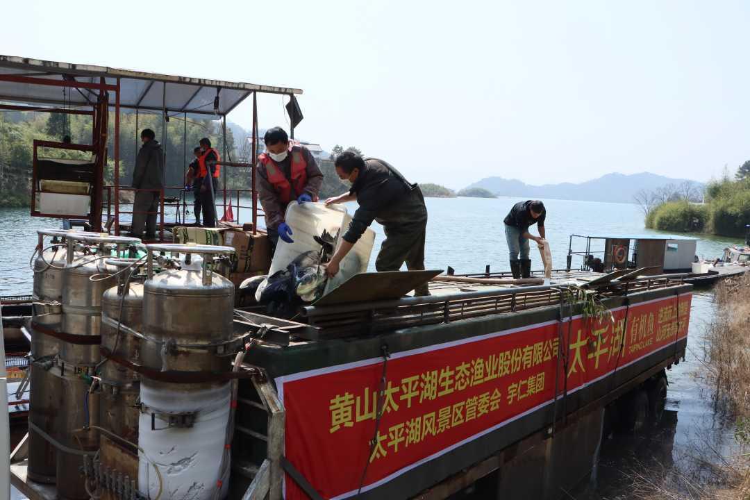 北京四海钓鱼频道朱文生总经理走访黄山太平湖