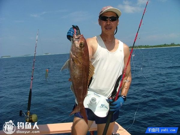 海钓凶猾鱼类的漂坠合一法介绍