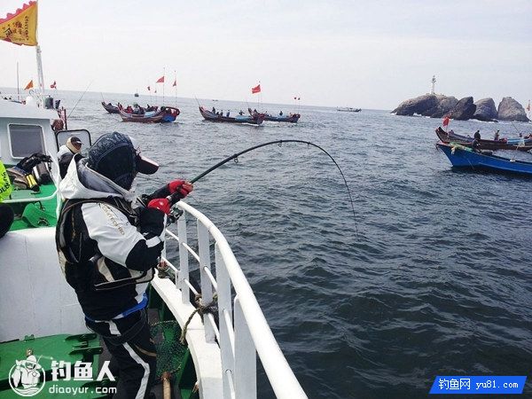 海钓鲈鱼的三种经典钓法分享