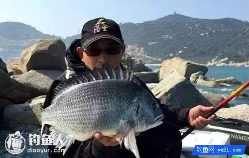 船上击竿钓鲷鱼的海钓钓法介绍