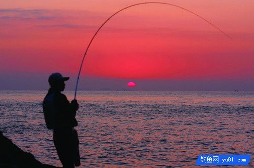 浅谈黑鲷的习性和海钓技巧及夜钓注意事项