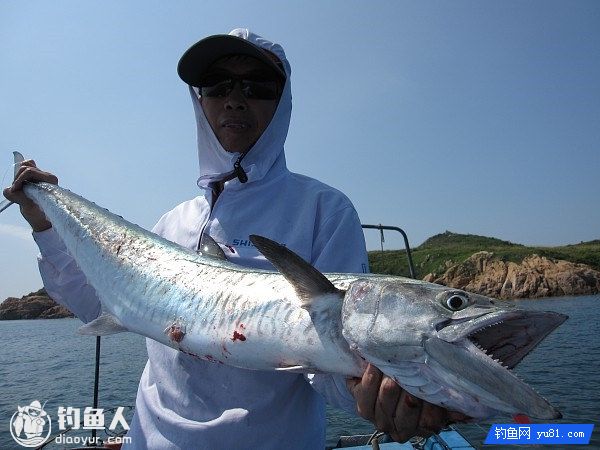 路亚小铁板抛投钓鲅鱼的技巧与介绍（附视频）