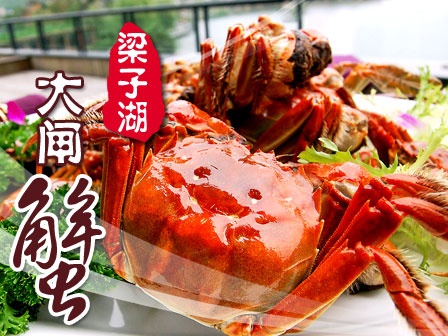 今夏武汉强降雨对梁子湖螃蟹生长有一定影响！