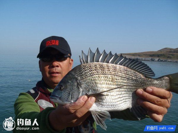 海滩滩钓黑鲷鱼的潮水、选点技巧