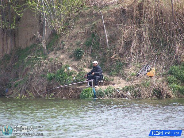 自制水库野钓鲫鲤草鱼通杀鱼饵秘方