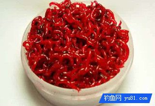 民间最好的六个钓鱼饵料配方