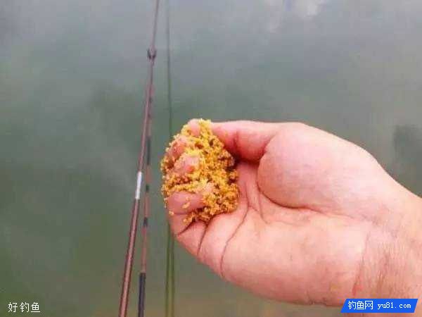 野钓诱鱼超好快的窝料制作方法及使用酒香米