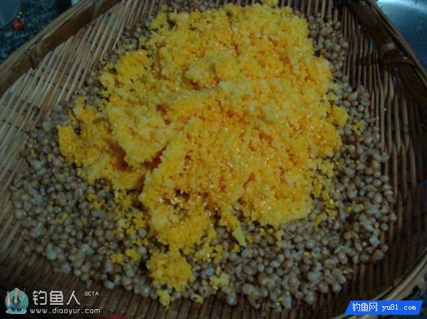 浅谈酒糟鱼饵的垂钓中的运用