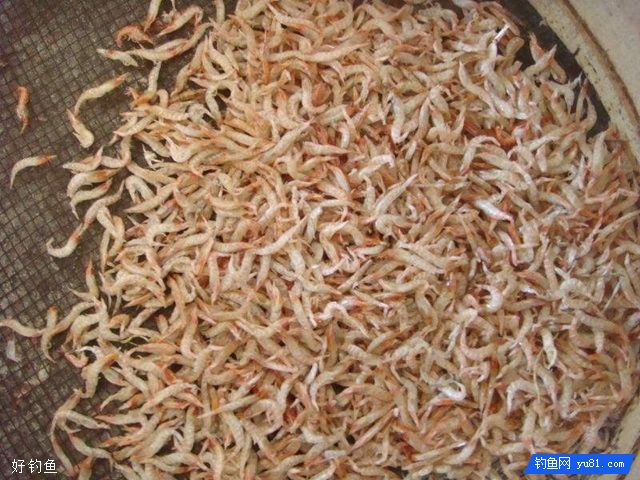 虾粉的分类和加入钓饵中的效果